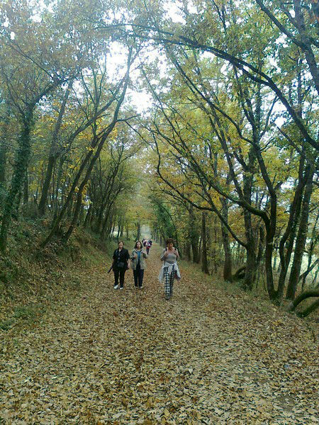 le chemin rouge